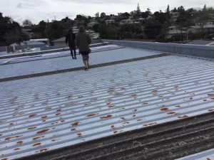 Rusty Roof Repairs Auckland