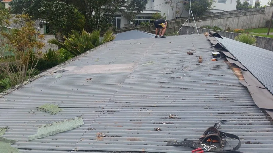 Emergency Roof Leak Repair